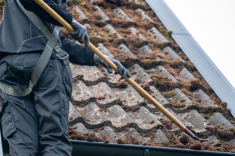 Roof Moss Treatment Service