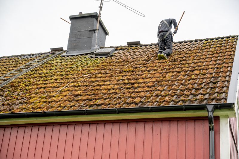 Roof Moss Treatment Service
