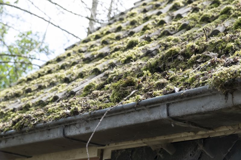 Roof Moss Treatment Service detail