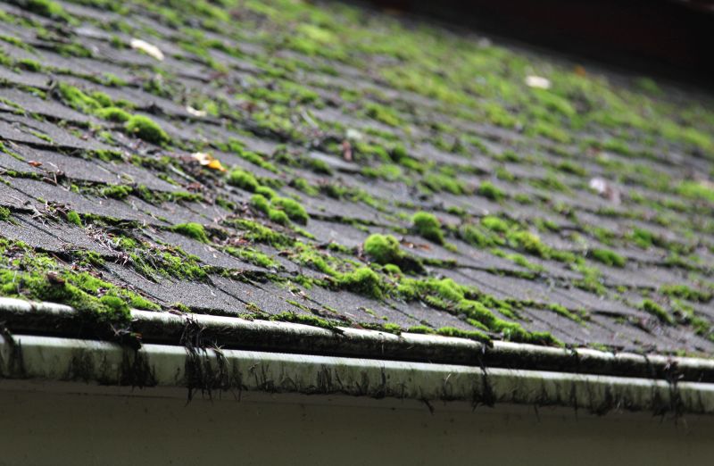Roof Moss Treatment Service detail