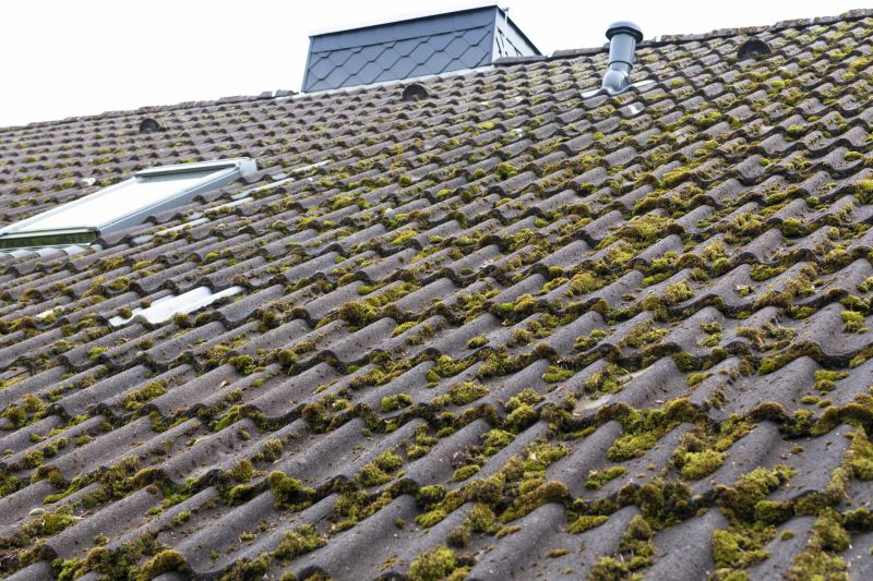 Roof Moss Treatment Service