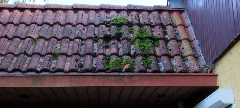Roof Moss Treatment Service