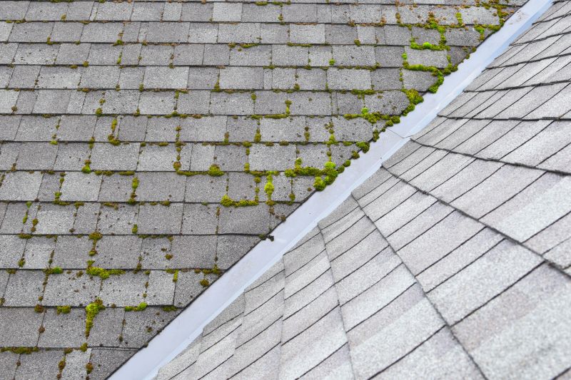 Roof Moss Treatment Service