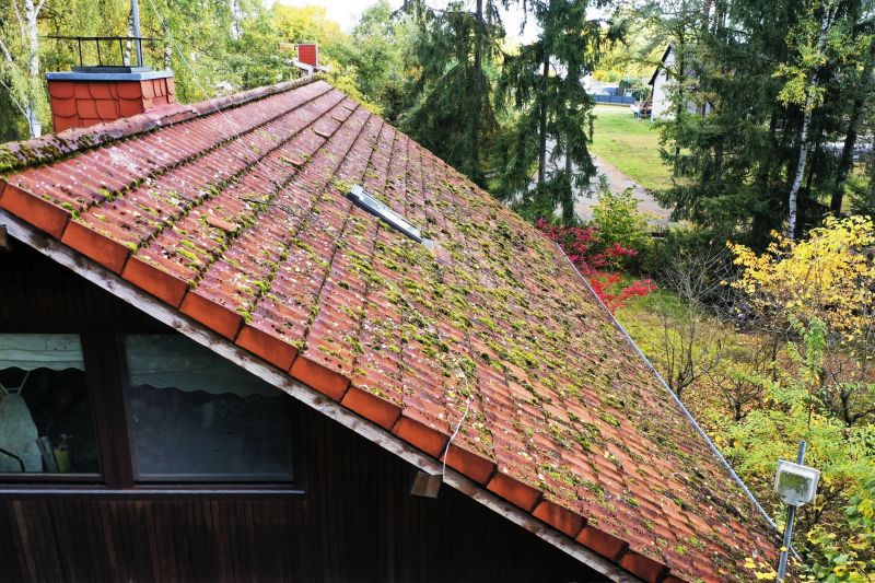 Roof Moss Treatment Service